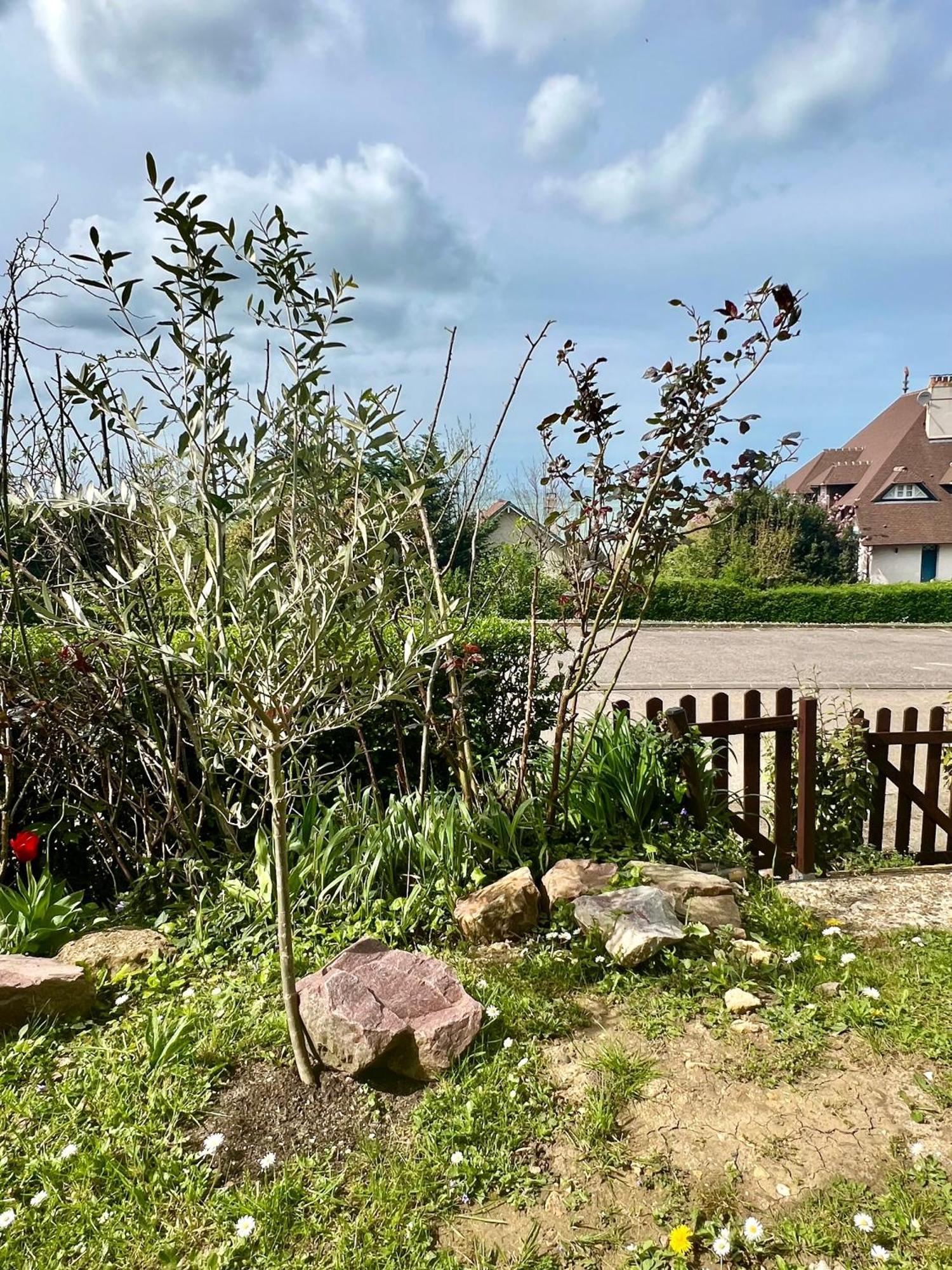 Grand Rez De Jardin-Terrasse Avec Vue Sur La Mer - 2 Chambres Blonville-sur-Mer Exterior foto